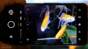 スマホのカメラは仕事に使える？ 過信は禁物、性能の限界も知っておこう