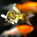 背景をぼかしたかっこいい写真が撮りたい〜脱・初心者の撮影スキルと機材