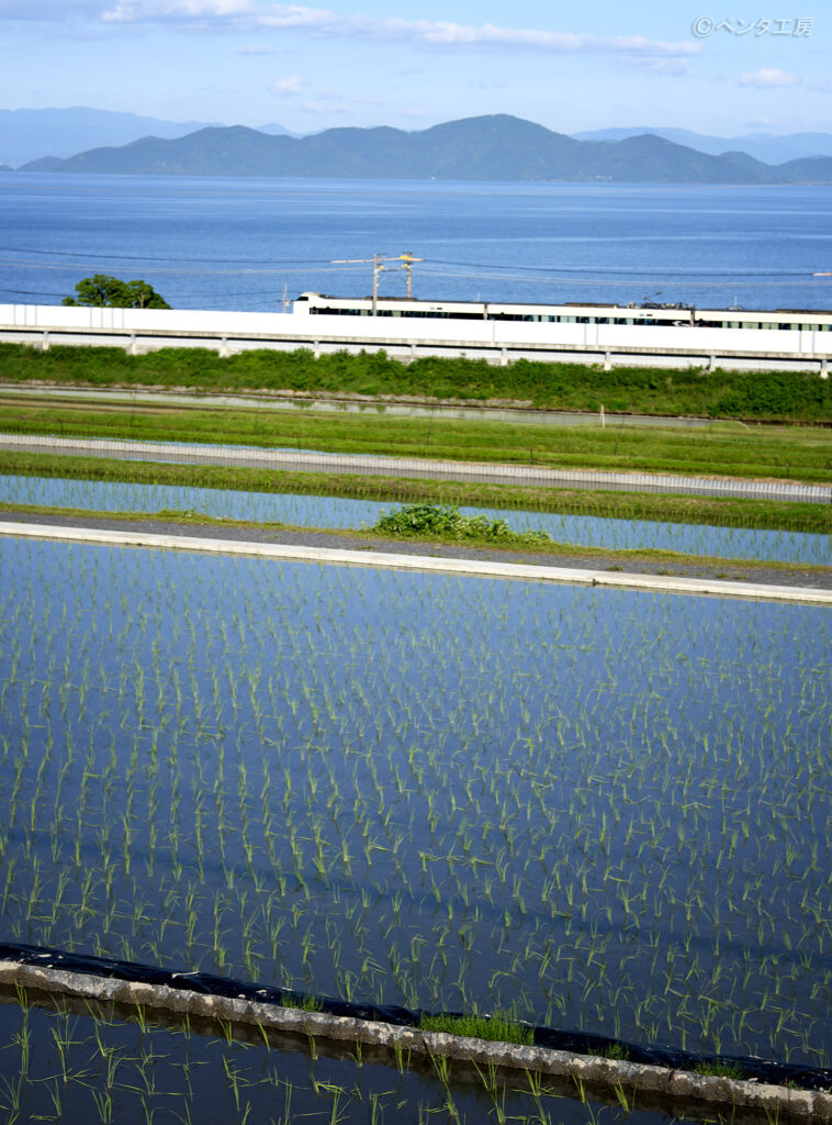 滋賀県大津市・田植えの田んぼと湖西線