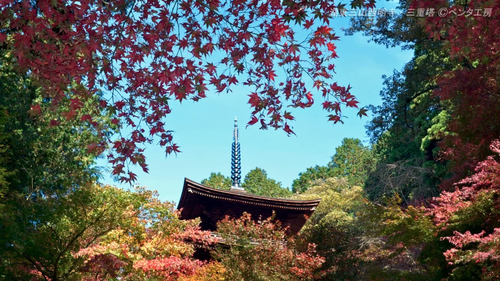 滋賀県湖東三山・西明寺の紅葉 - 秋の風物詩（撮影：ペンタ工房 柳本学）